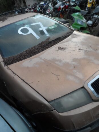 LOTE 97